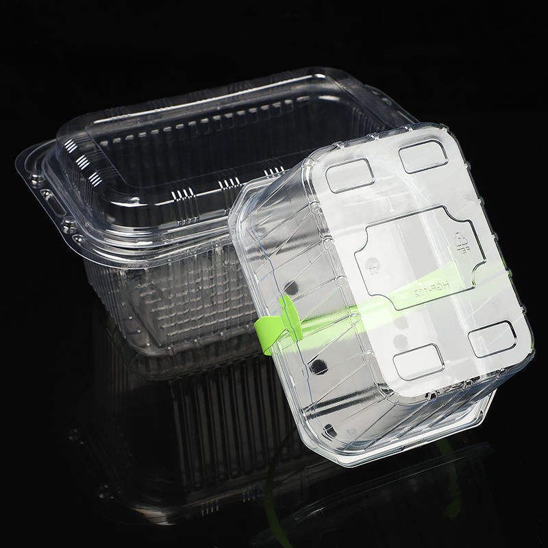 Clear Plastic Cake Box with Handle – Portable Handle Gift Box for Cakes & Bakery