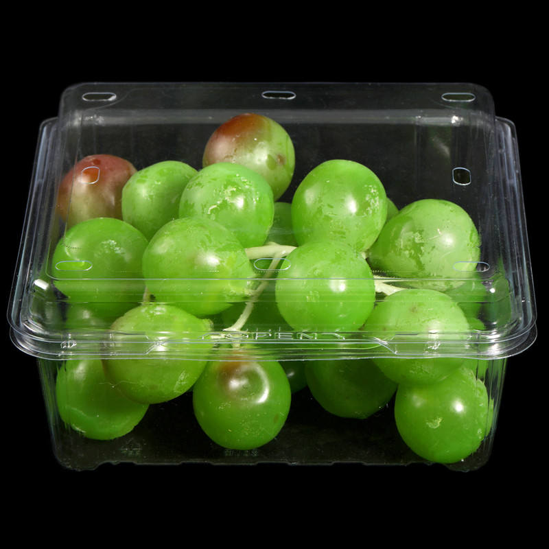 Ventilated Clear Bakery Box – Perforated Hot Food Container with Steam Vent Holes