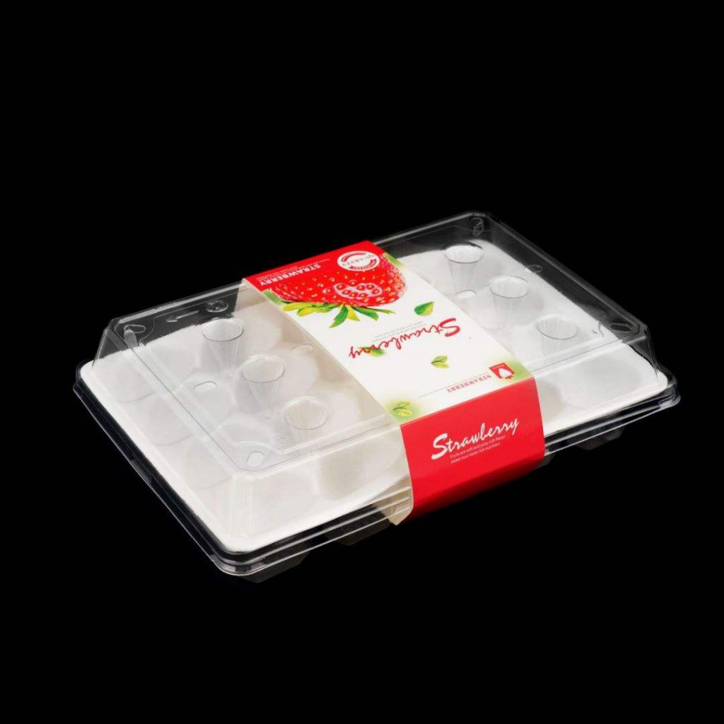 Ventilated Strawberry Clamshell – Clear Berry Punnet with Vent Holes