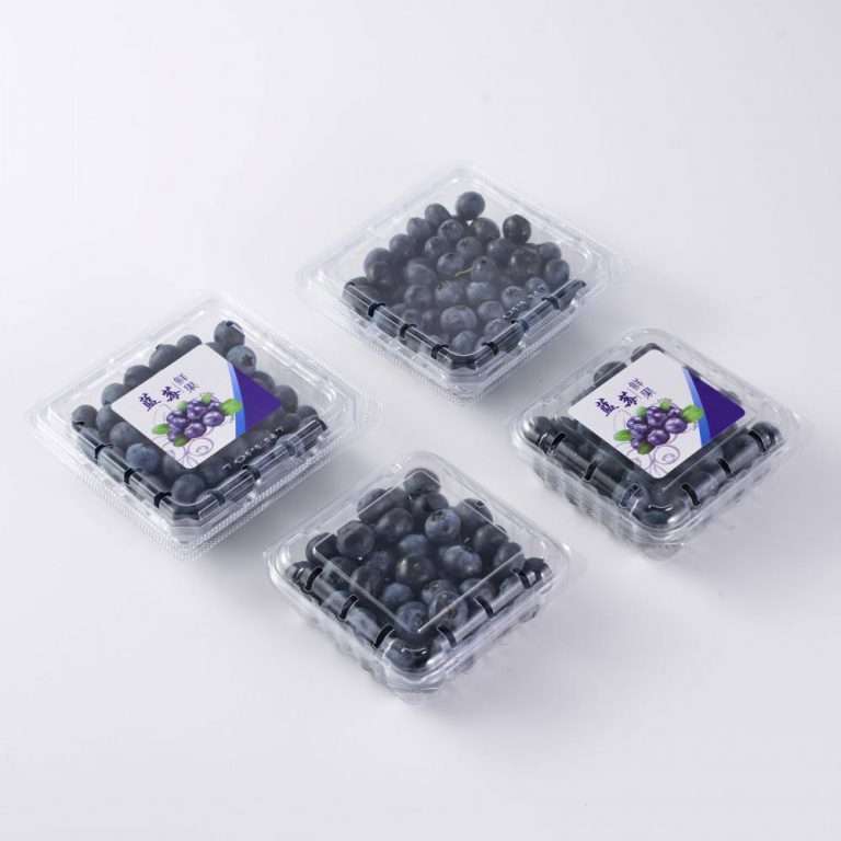 Small Blueberry Clamshell – Mini Berry & Cherry Tomato Blister Pack
